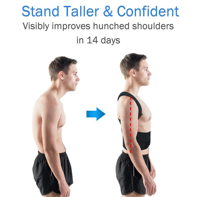 Comfortable Back Support Belt